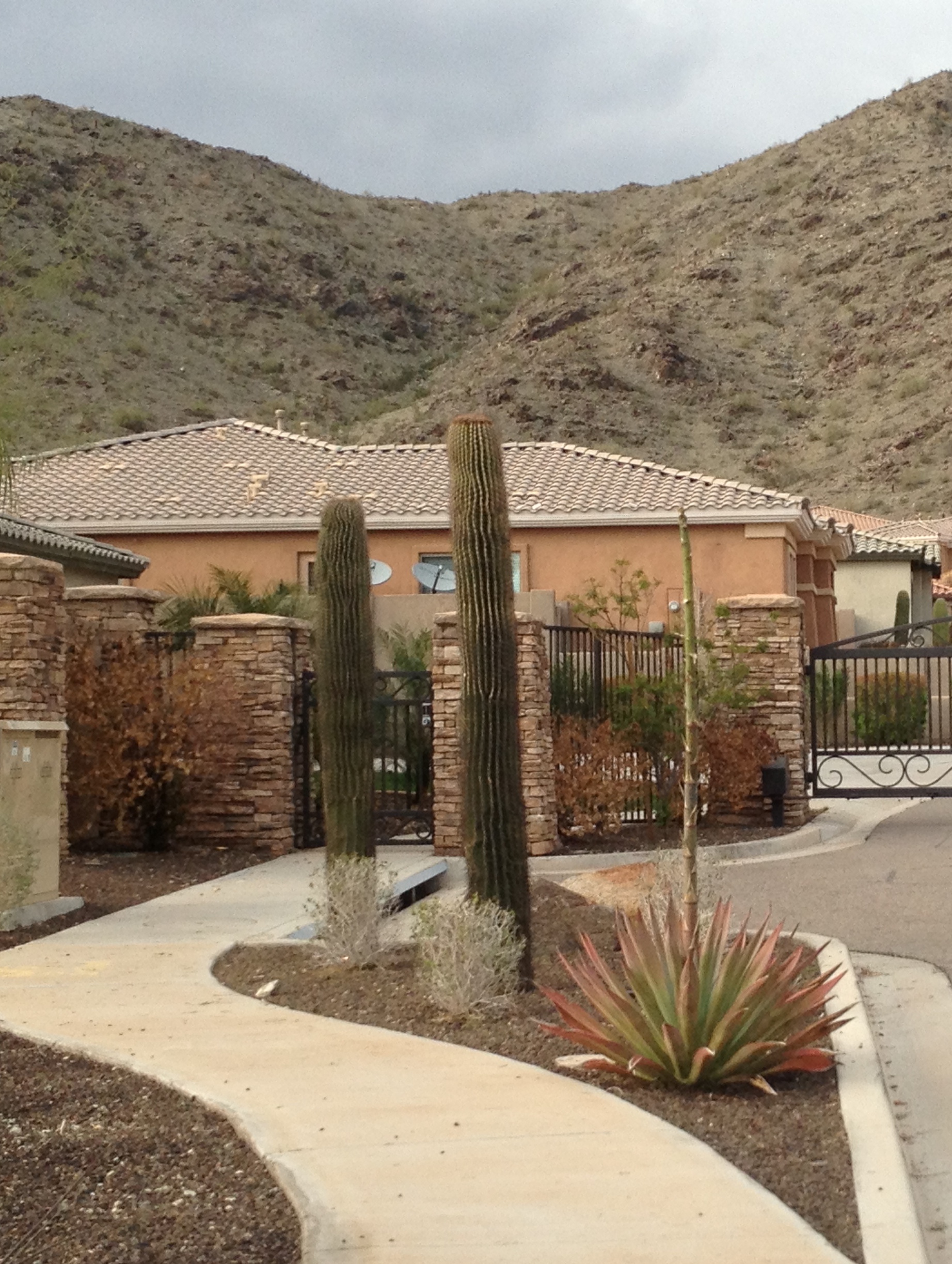 Zillow Ahwatukee Az - addb0pf
